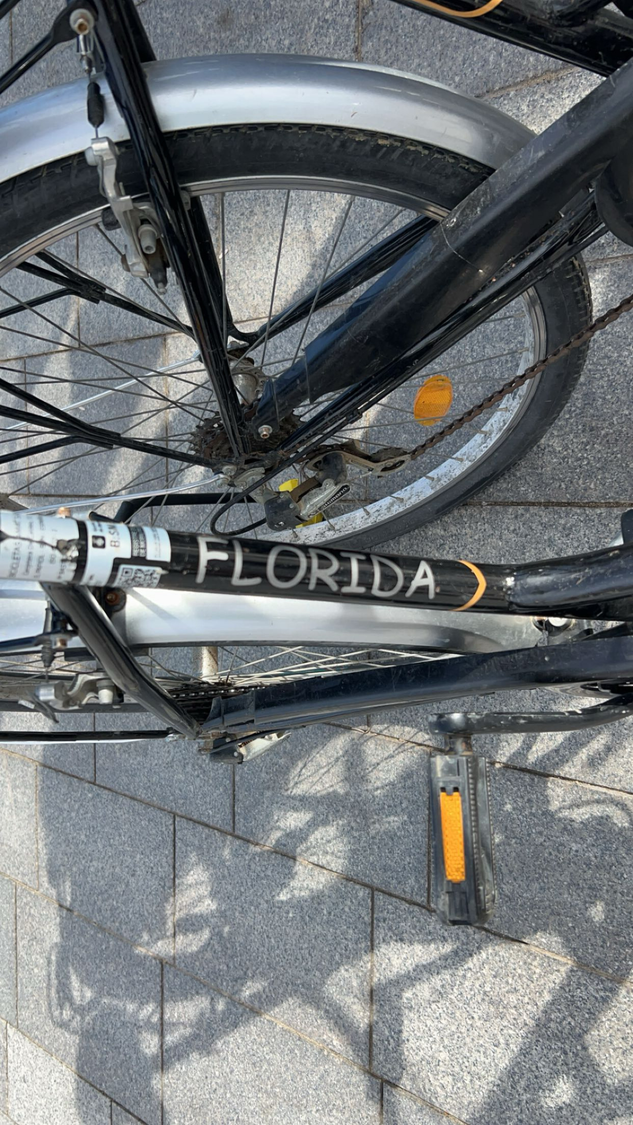florida