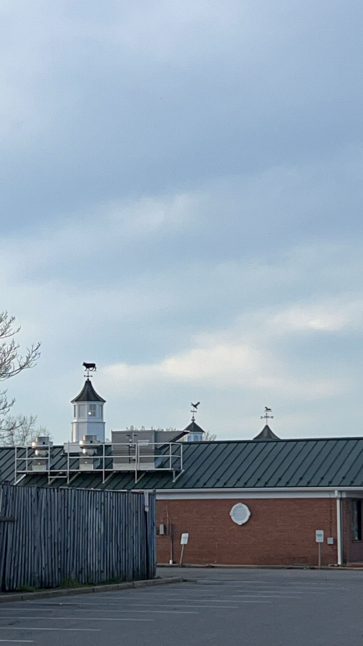 windvane.jpg
