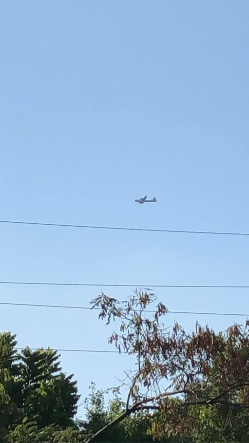 b29
