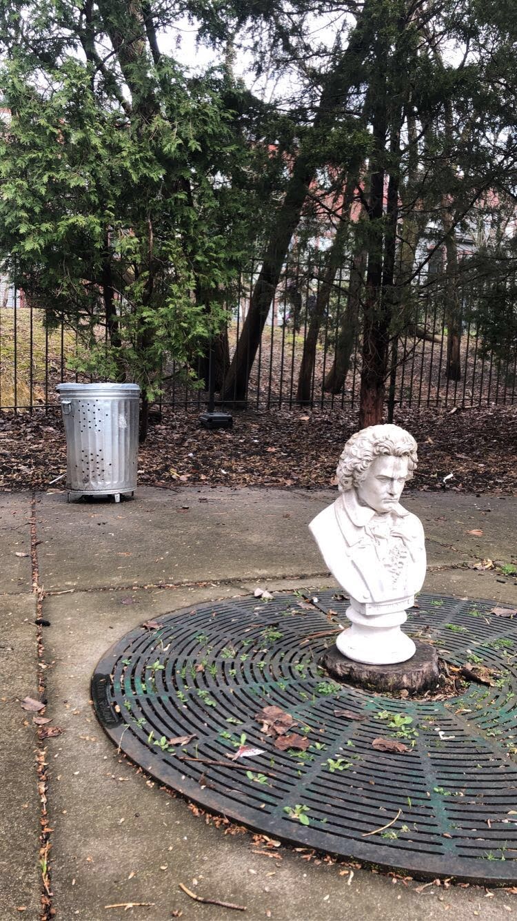 bust