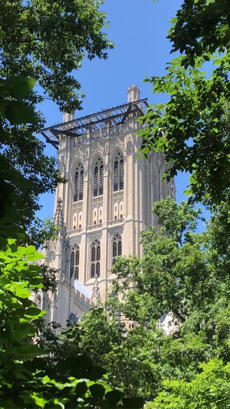 cathedral